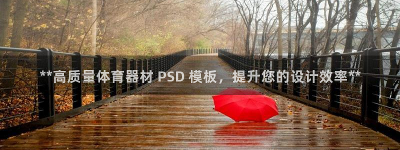 星欧娱乐挂机赚钱：**高质量体育器材 PSD 模板，