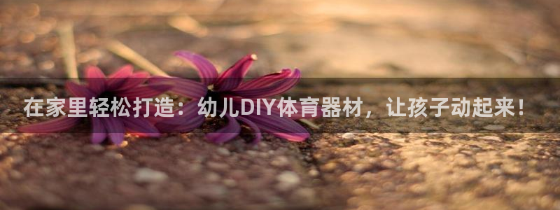 星欧娱乐扣款流程详解图片：在家里轻松打造：幼儿DIY