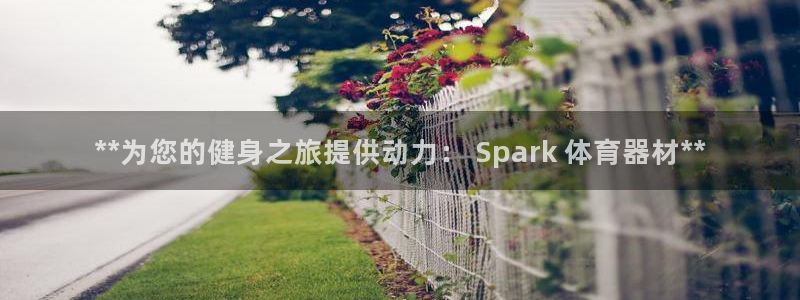 江苏星奥娱乐：**为您的健身之旅提供动力： Spar