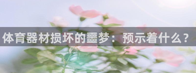 星欧娱乐公司简介